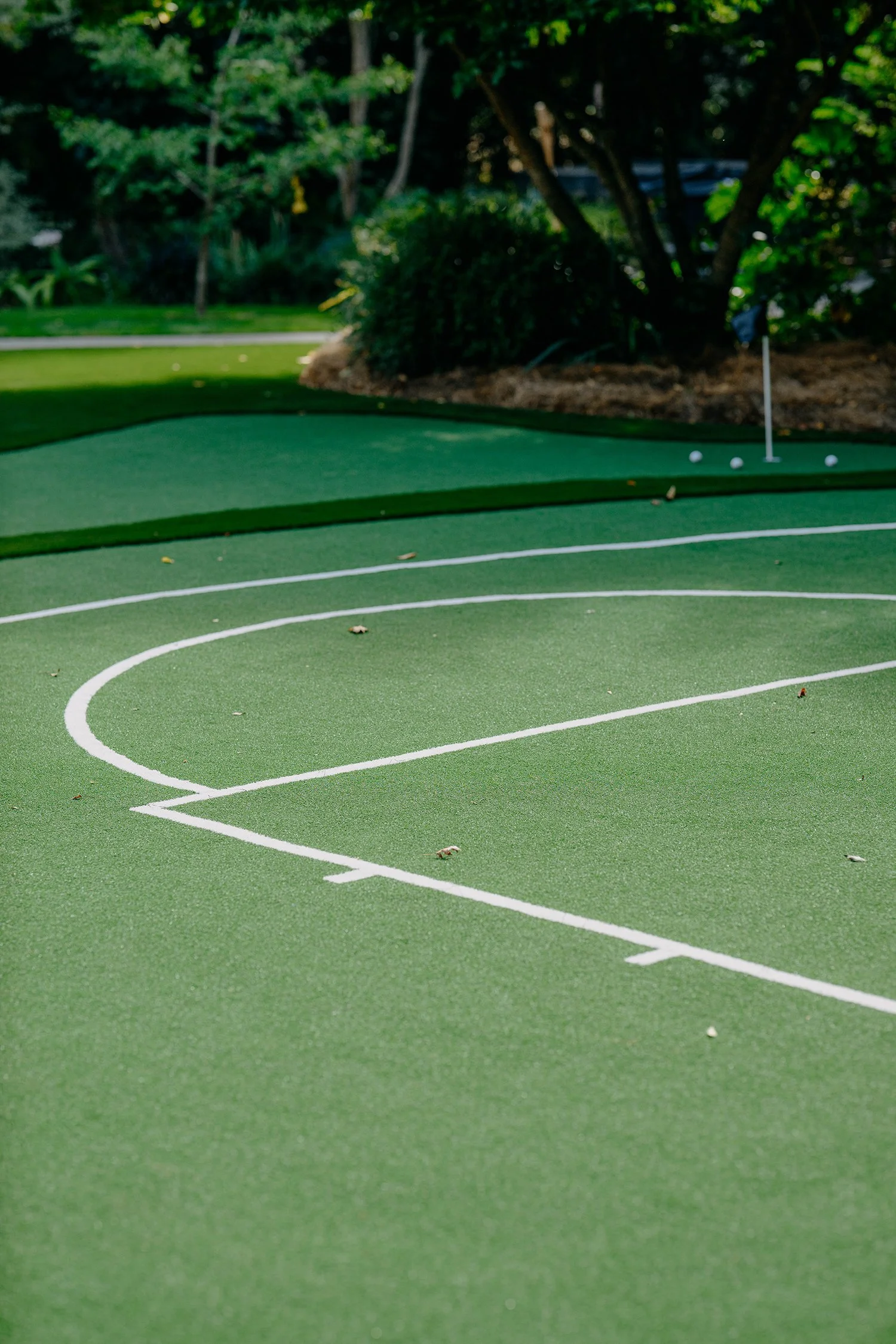 backyard-basketball-putting-green-2.jpg