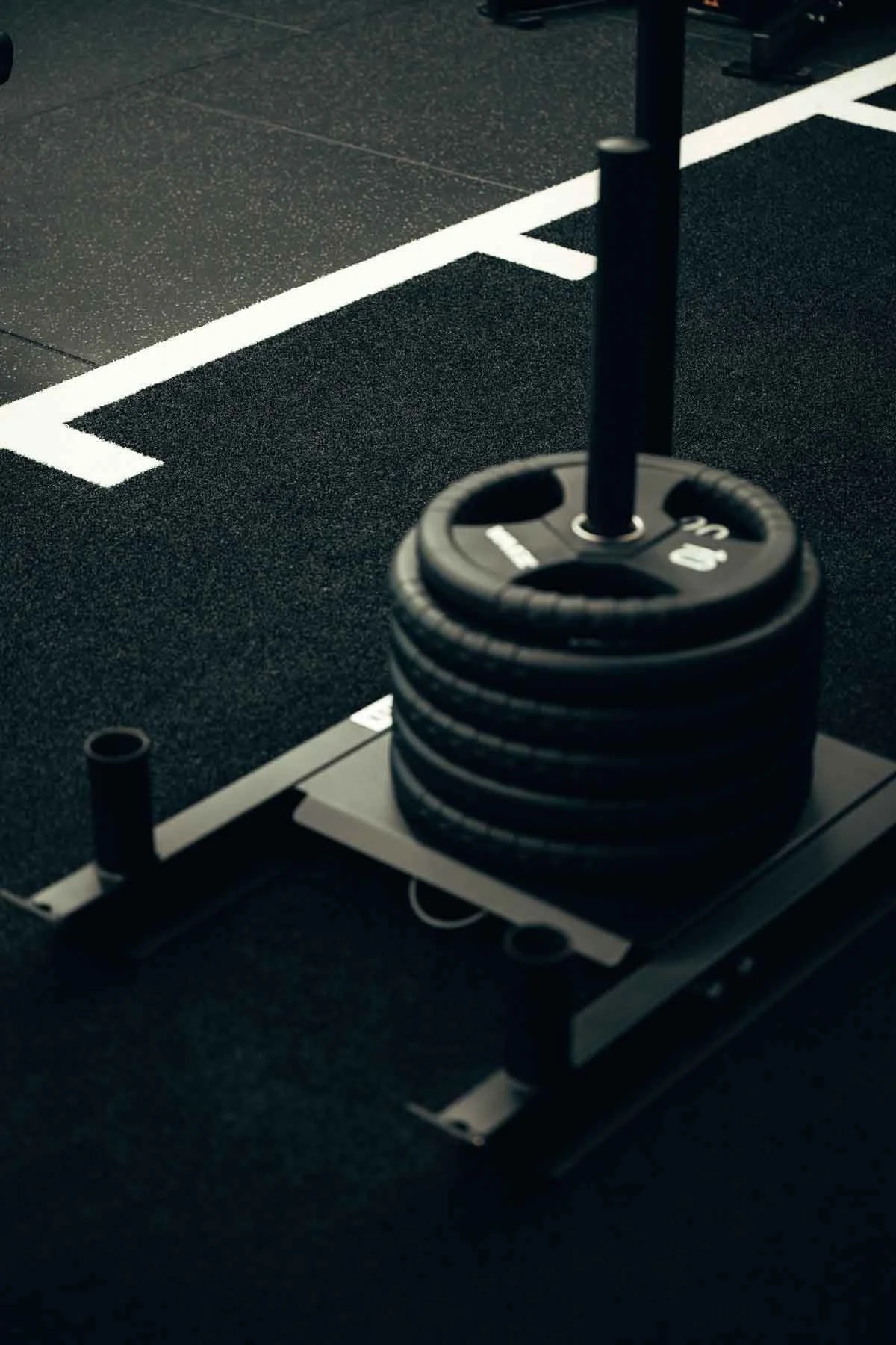 sportsplay_flex-gym-hyrox-30.jpg