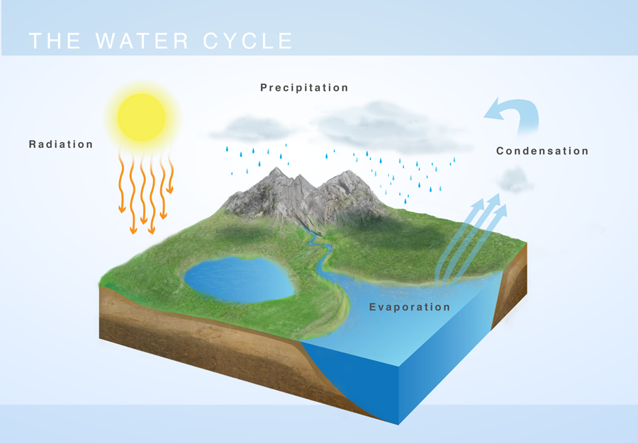 WaterCycle_Infographic.png