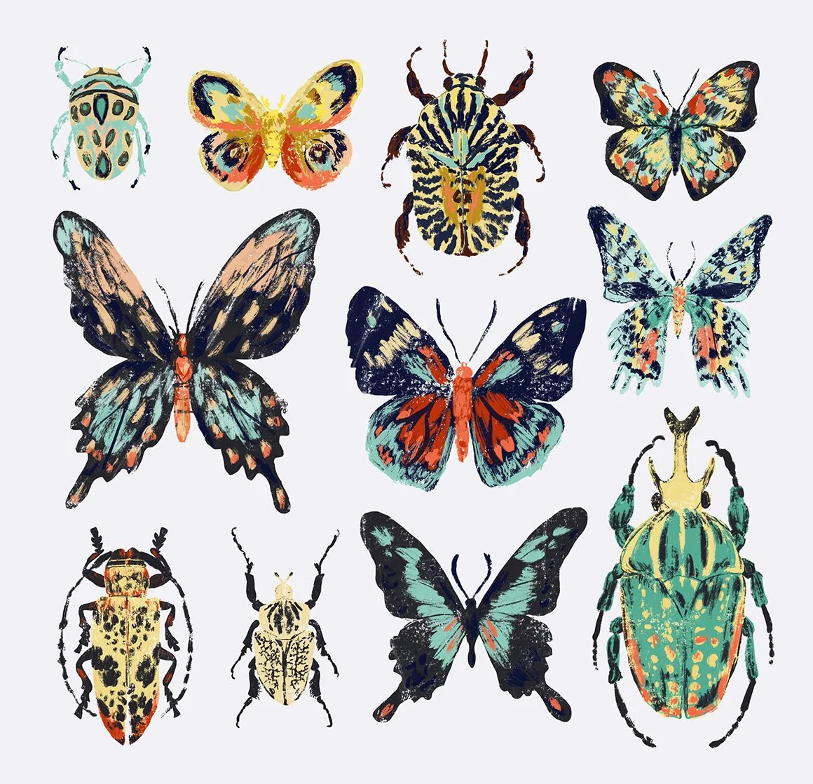 Insect_Illustration_AF.jpg