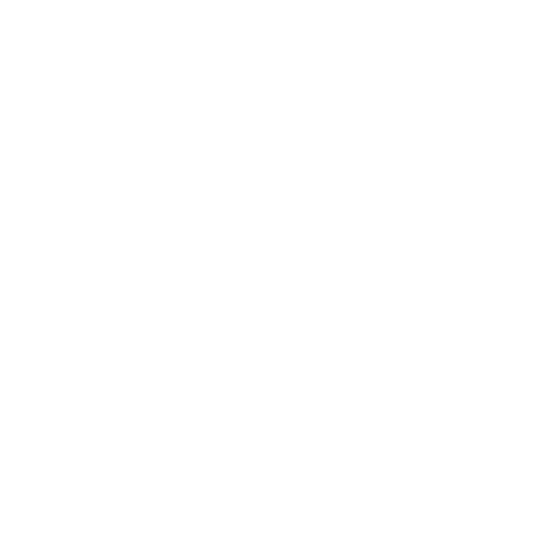 The Cleaning Guru
