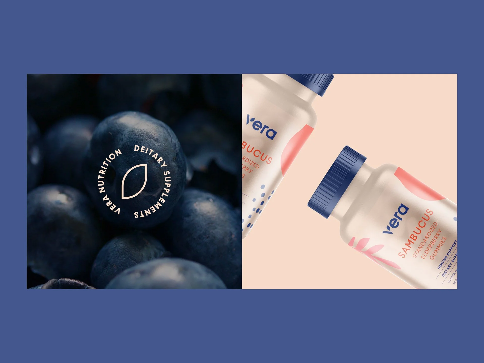 Close-up van Vera supplement naast blauwe bessen | Natuurlijk ingrediënt centraal in design