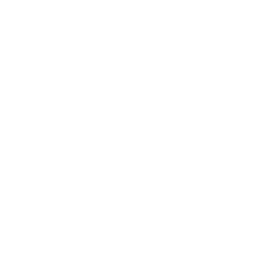 Psychedelic‑Catalyzed Journeys for Couples