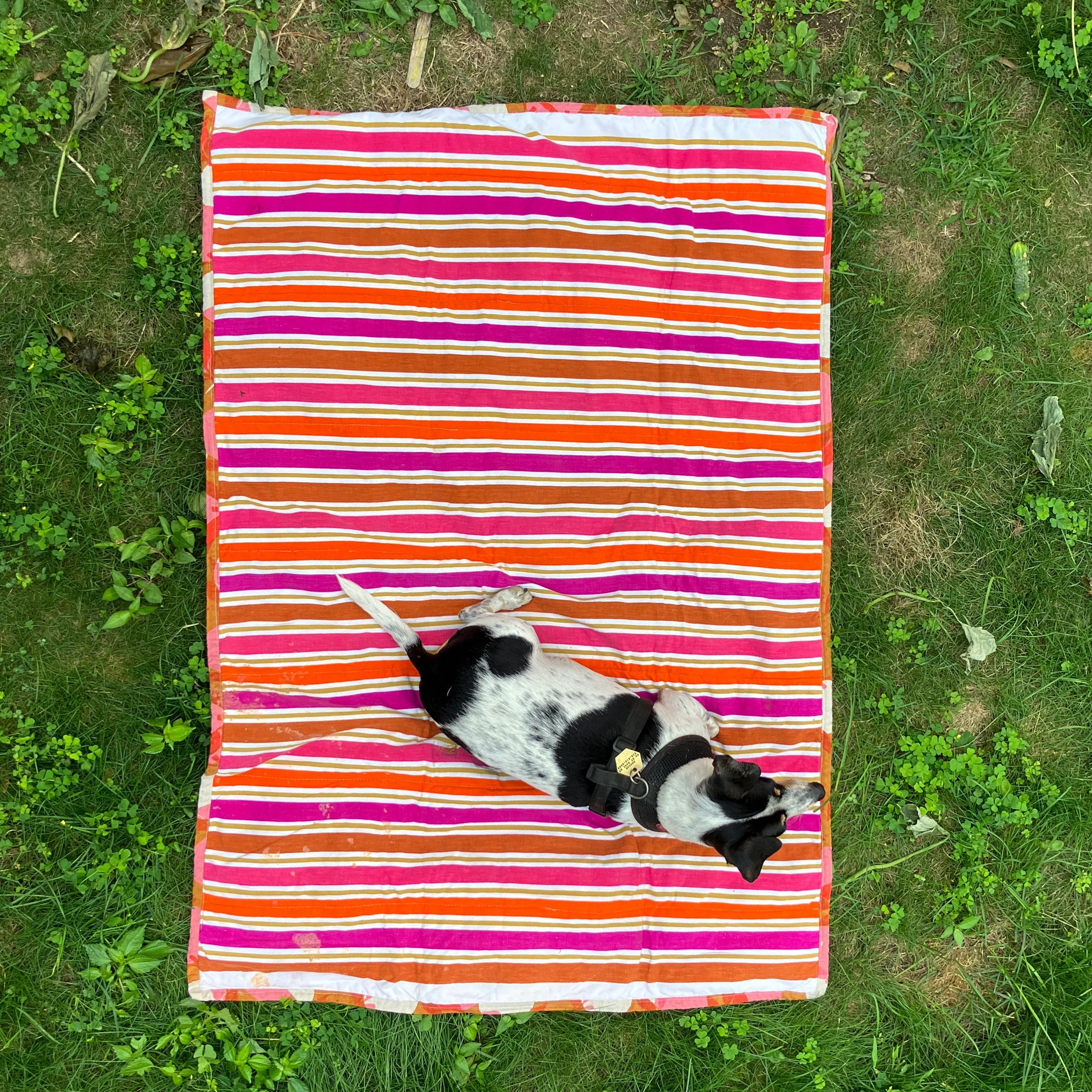 Duncan's Picnic Blanket