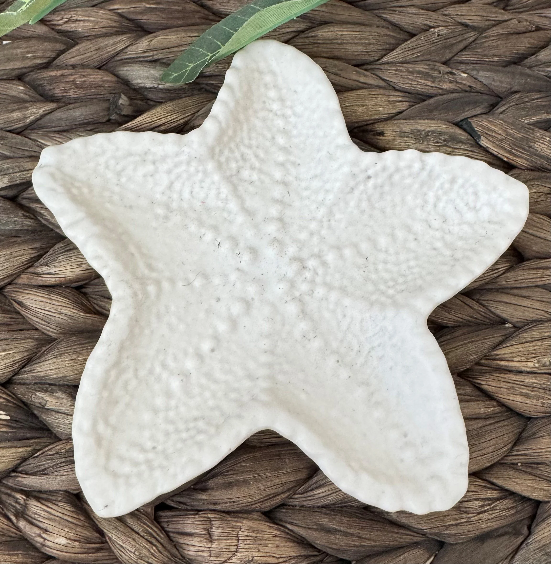 Starfish