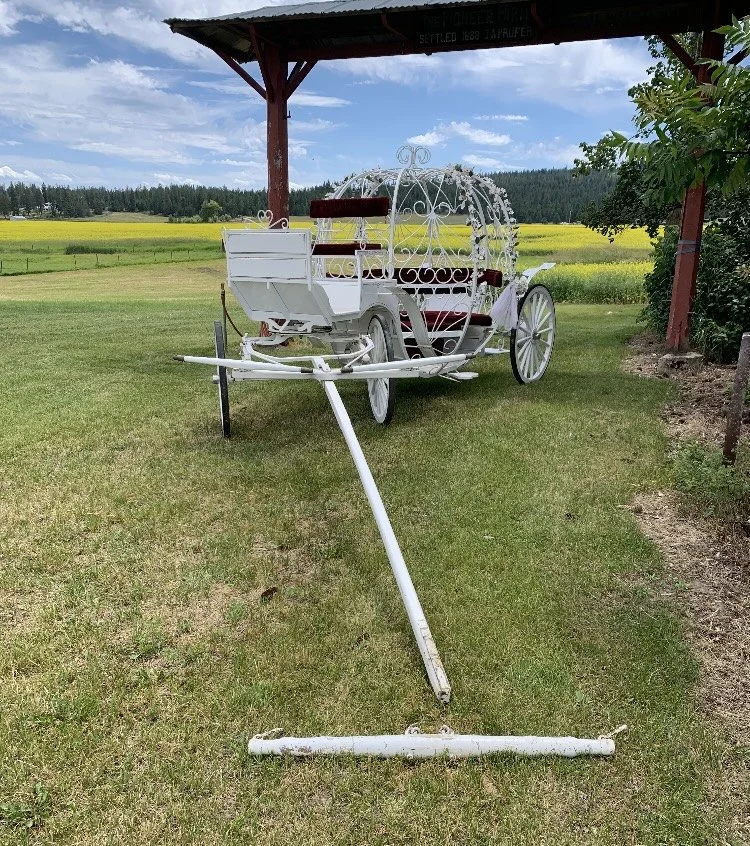 A white ornamental horse-drawn carriage with elaborate scrollwork, parked under a red wooden shelter in a lush green field with yellow flowers in the background.