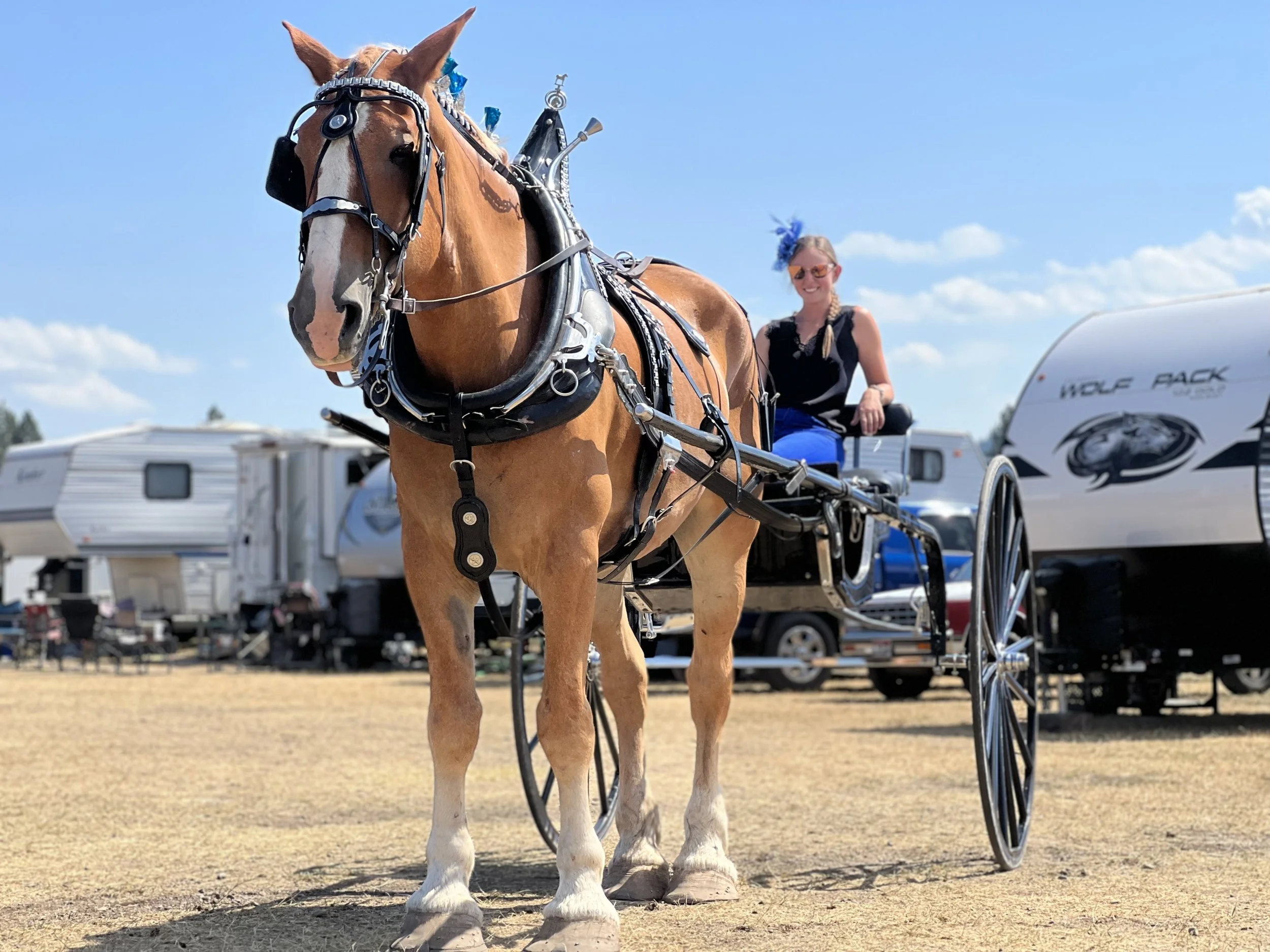 A woman sitting in a horse-drawn carriage with a brown horse in an outdoor setting, trailer campers in the background, under a clear blue sky.