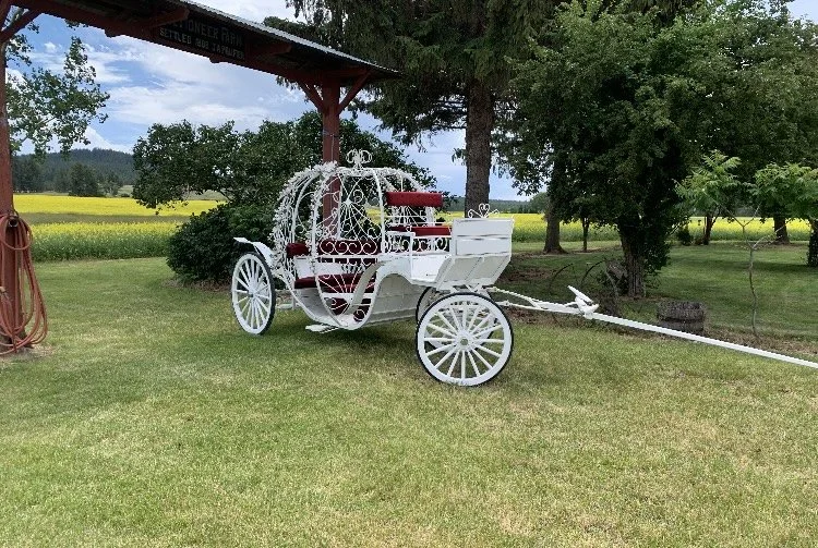 Decorative white and red horse-drawn carriage with cushioned seats, situated on a grassy area surrounded by trees and open fields.