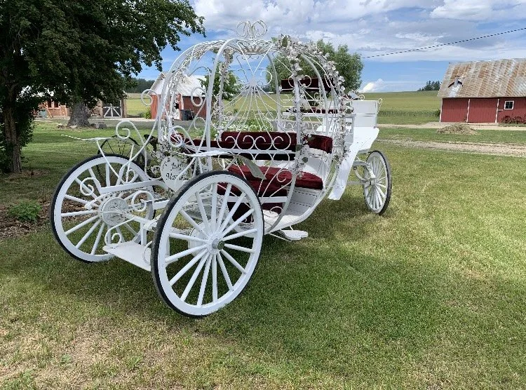 A white decorative carriage with red velvet cushions, set outdoors on a grassy area with barns and trees in the background.