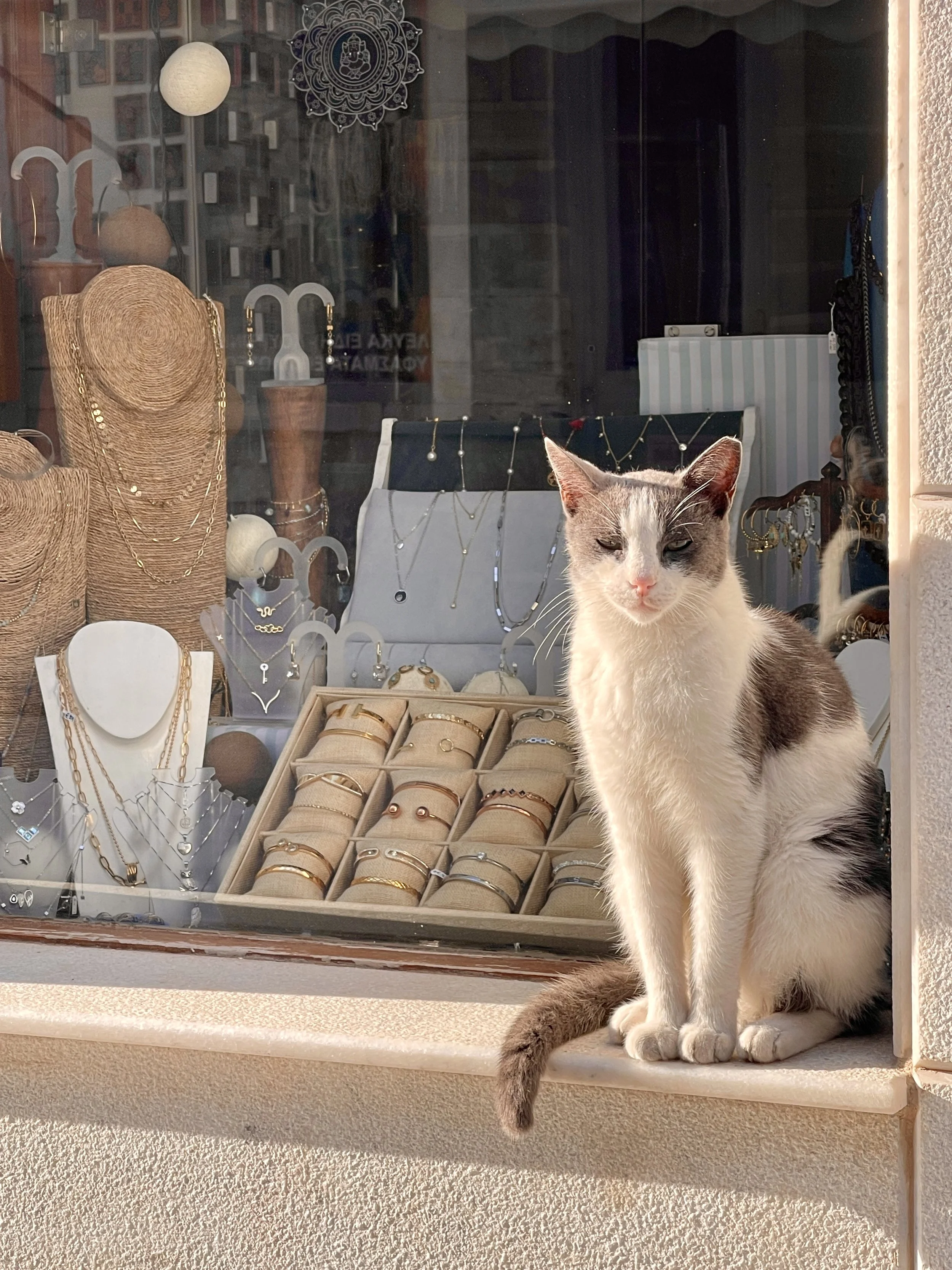 The Cats of Greece - Island Life, Charm &amp; Whiskers