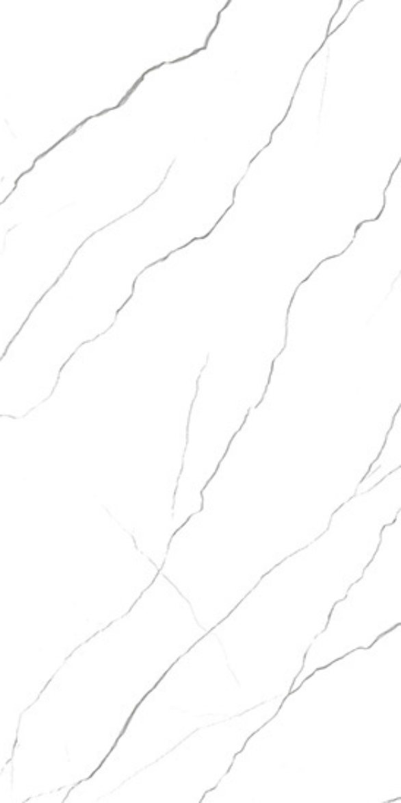 2006 F2.png
