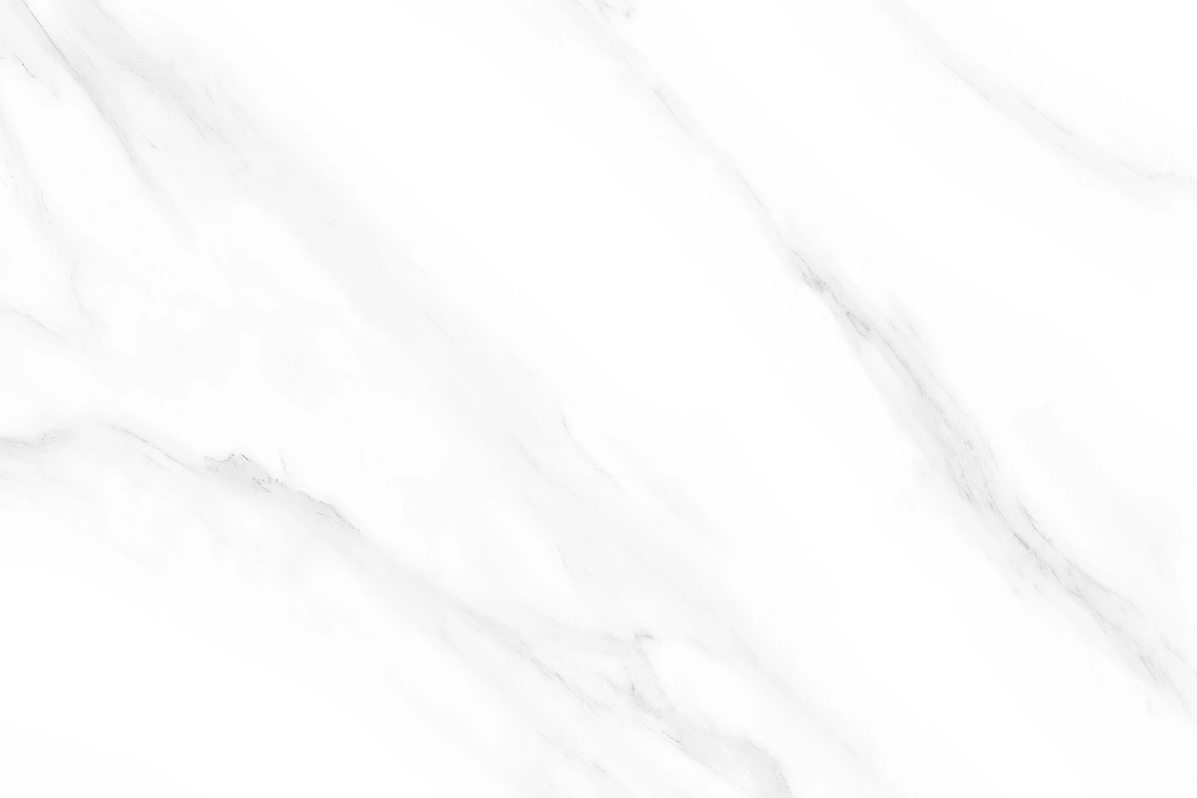 695_L2.jpg