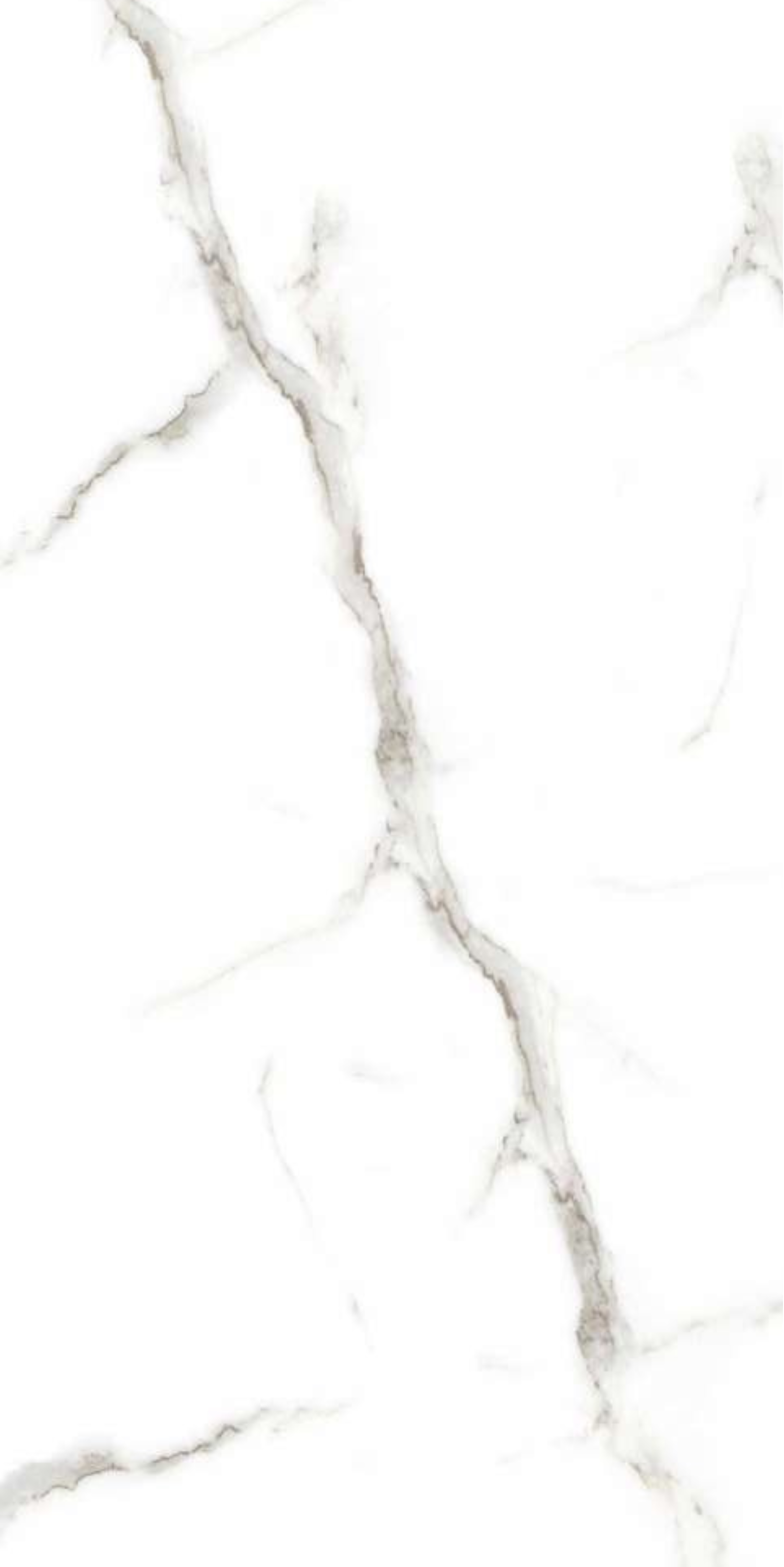 WONICY WHITE F1.png