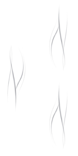 2277 (1).png