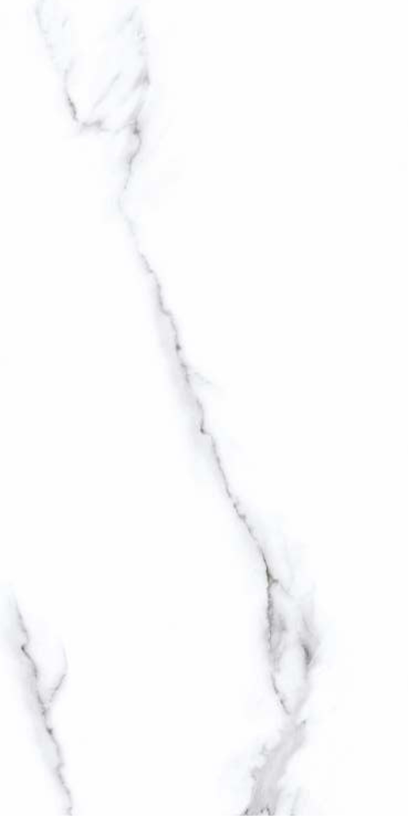 SATVARIO PEARL F3.png