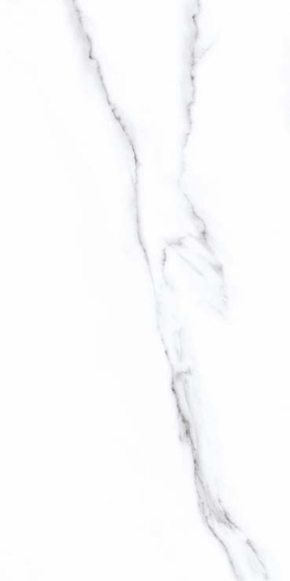 SATVARIO PEARL F2.png