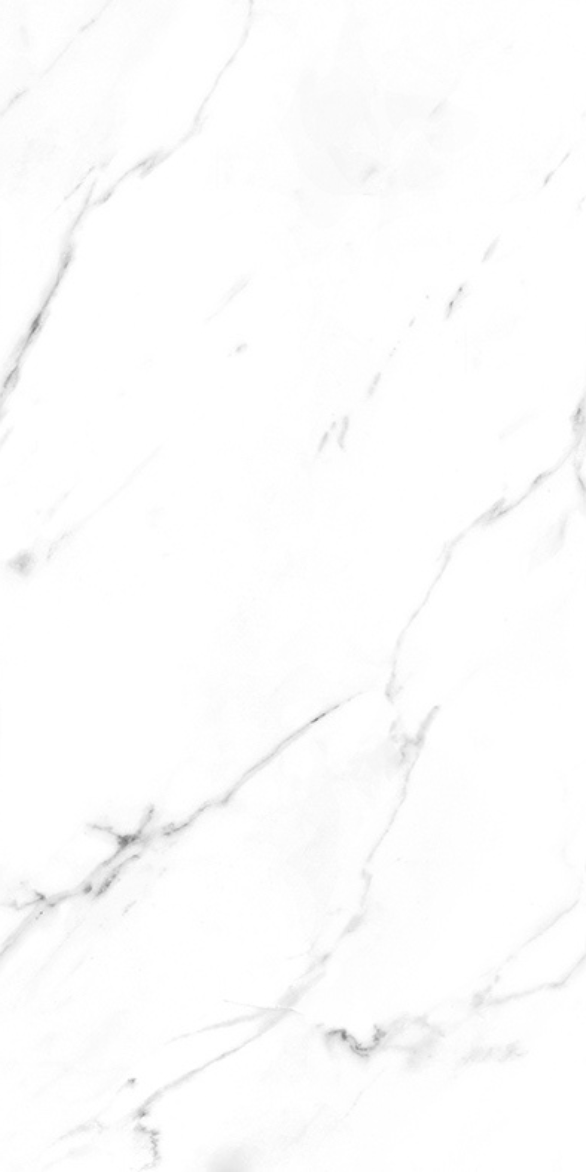 AARSIBI WHITE F4.png