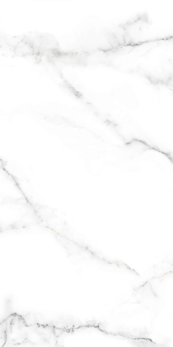 AEBISI WHITE F2.png