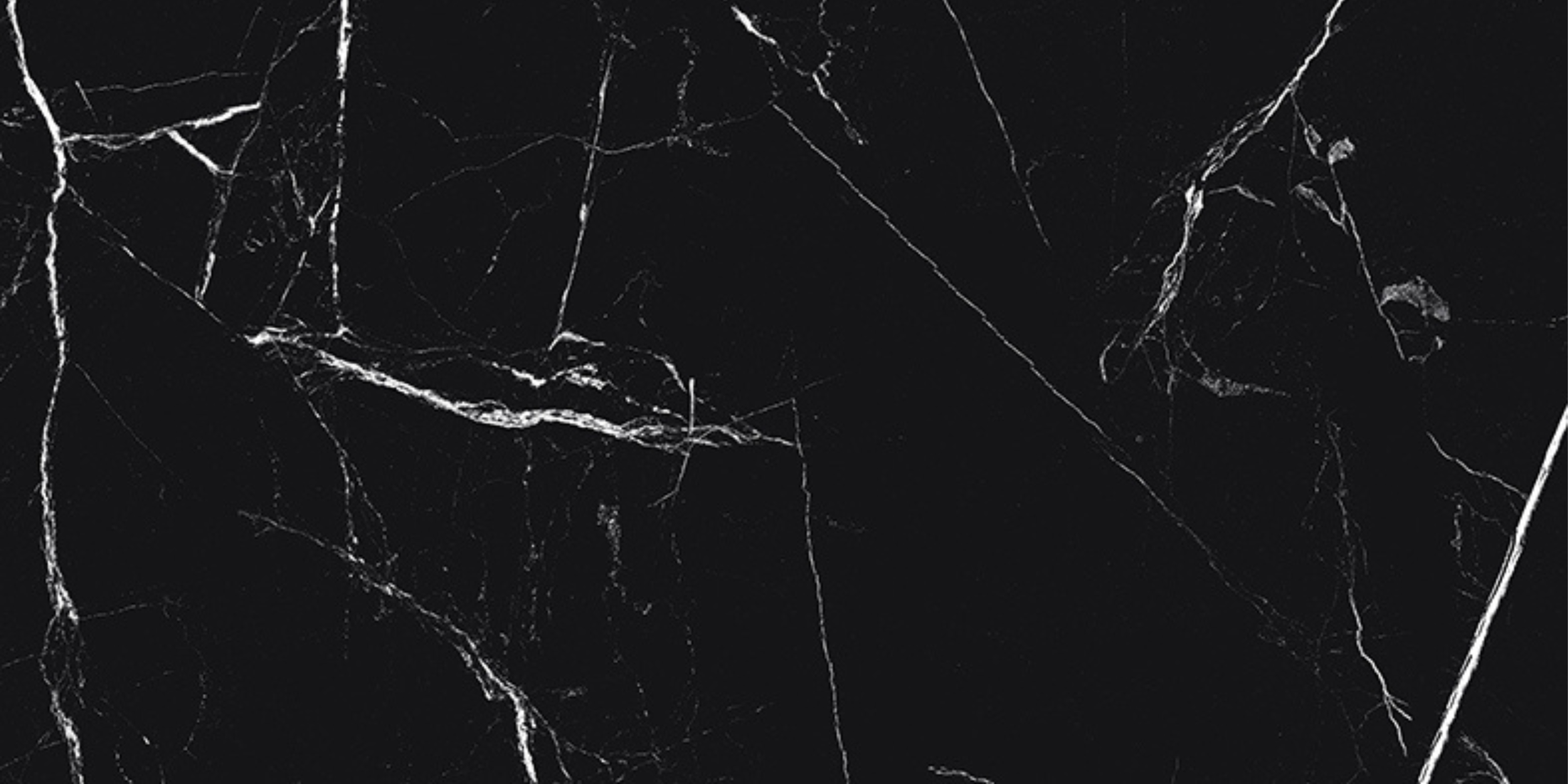 BLACK+VOLCAN+F2+%281%29.png