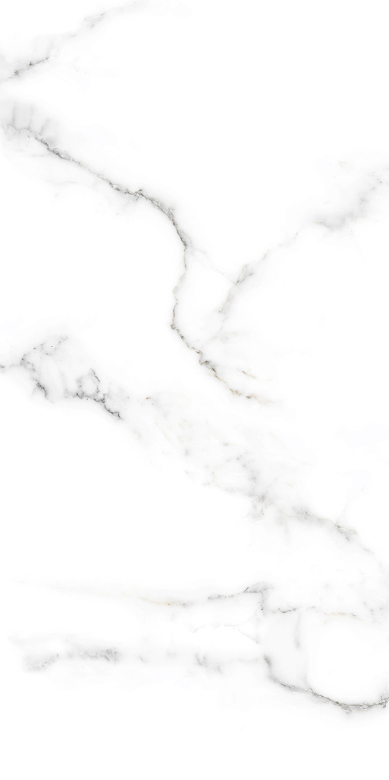 AEBISI WHITE F1.png