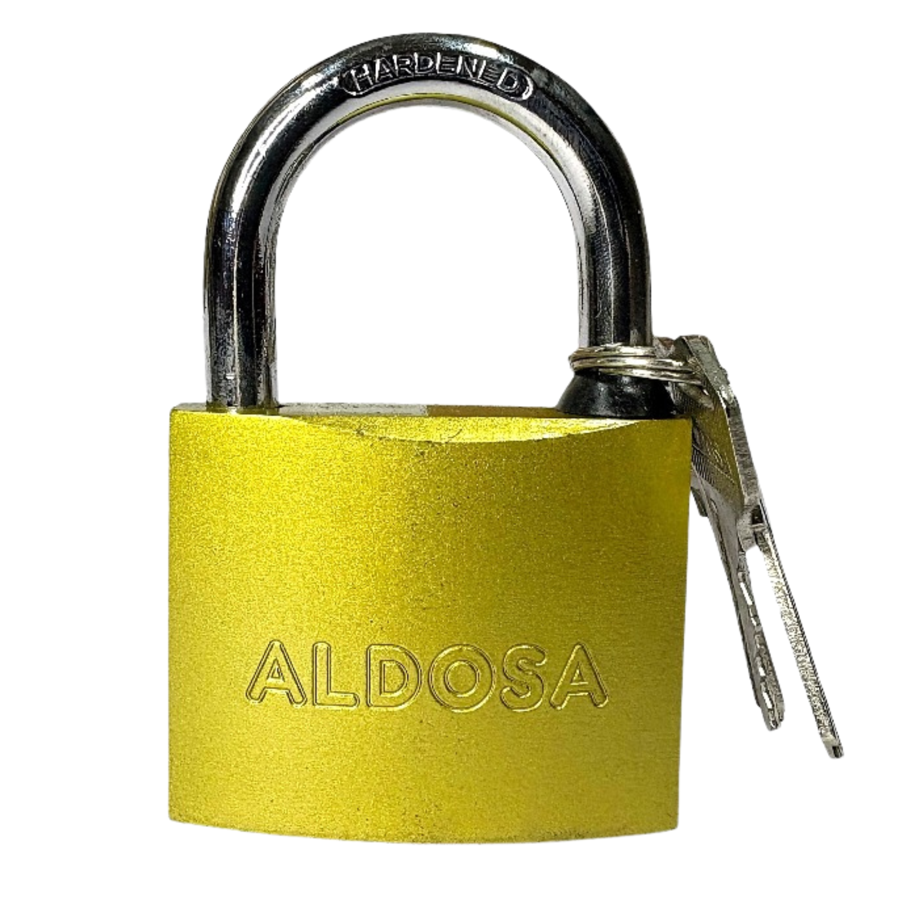 SITIO WEB - 2026-06-20T095935.132.png