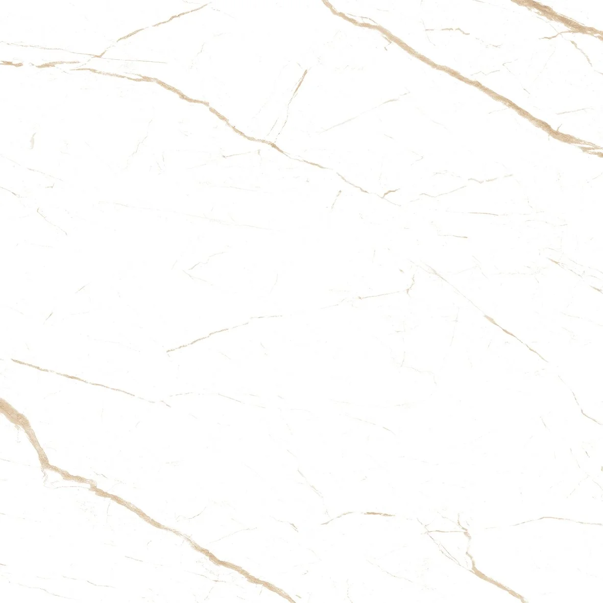 SATVARIO CHEROK BEIGE F6.jpg (1).jpeg