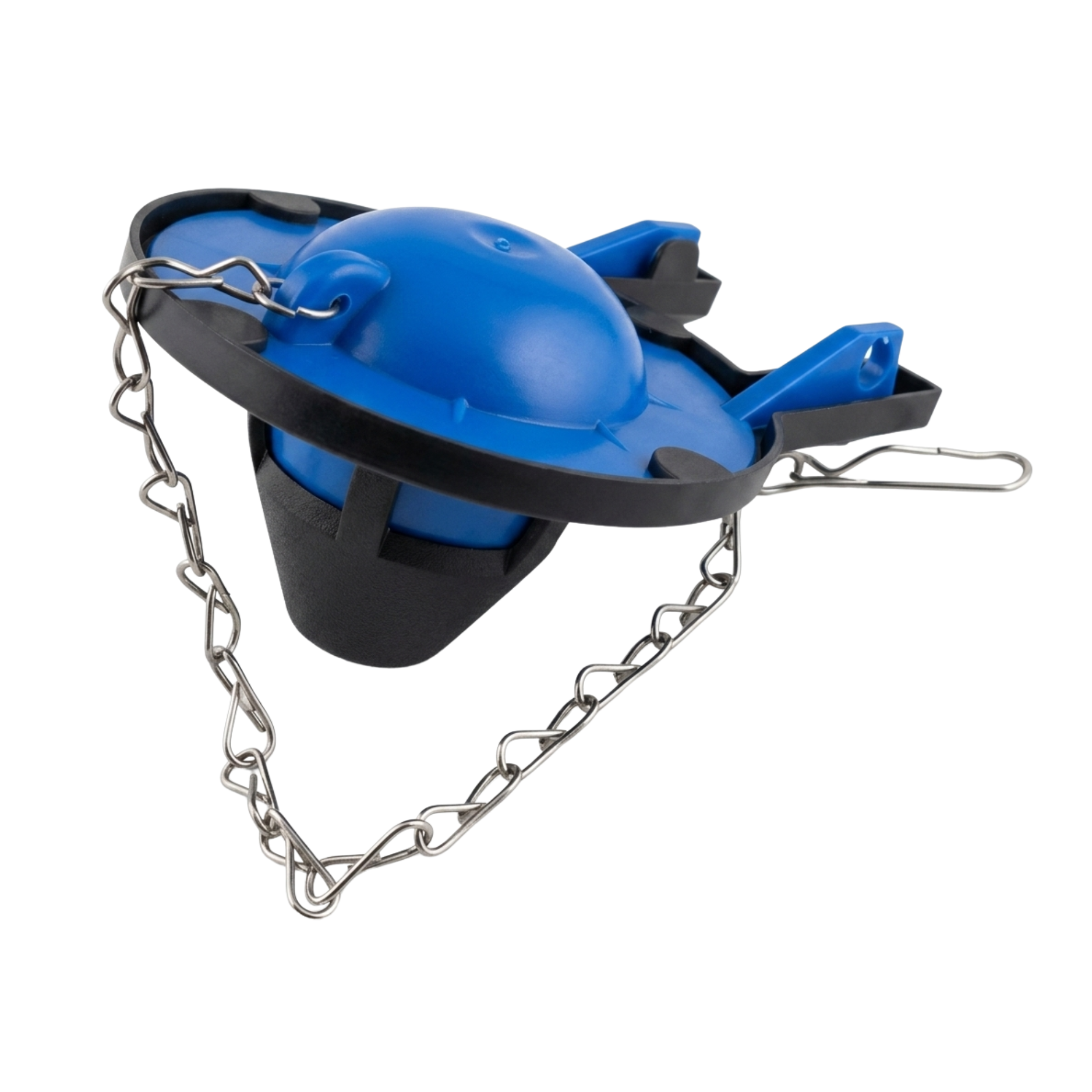 SITIO WEB (74).png