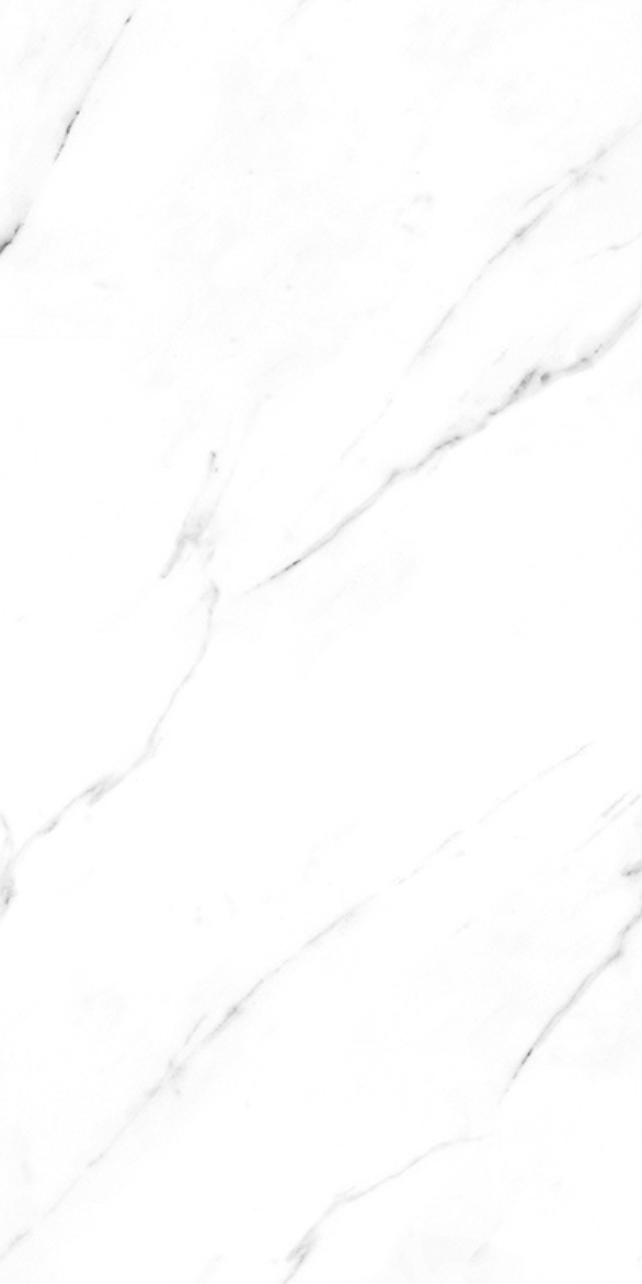 AARSIBI WHITE F6.png