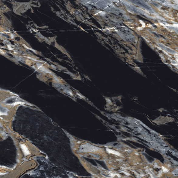 BLACK FLUARY F5.png