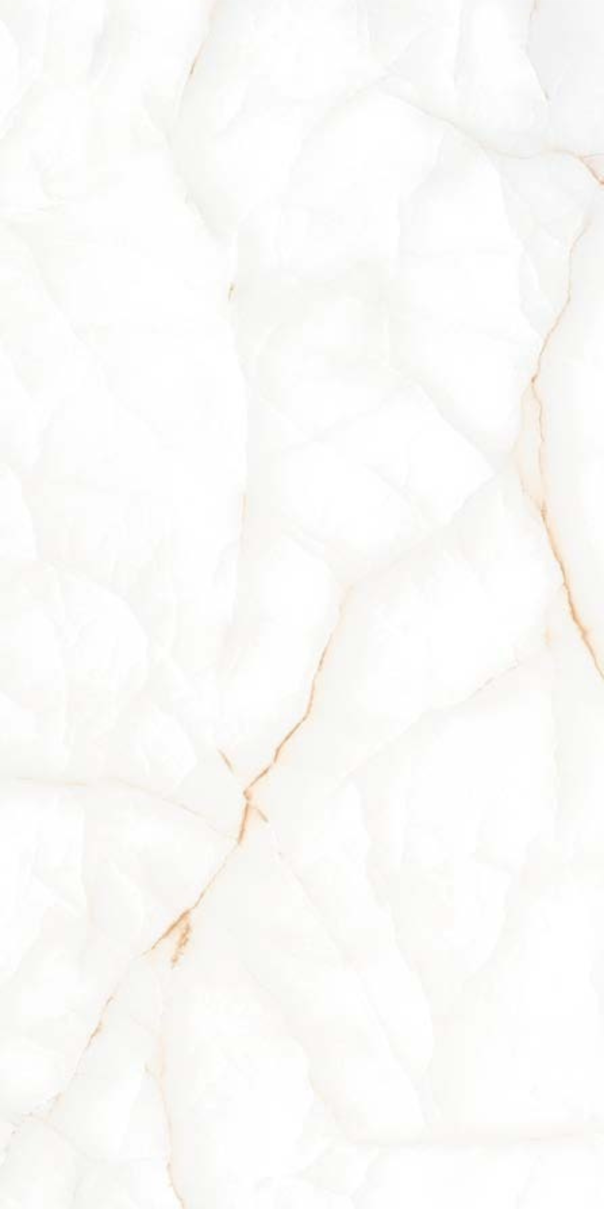 KINDER BEIGE F1.png
