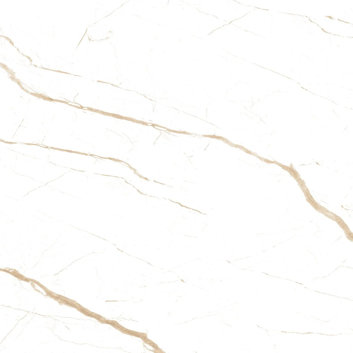 SATVARIO CHEROK BEIGE F5.jpg (1).jpeg