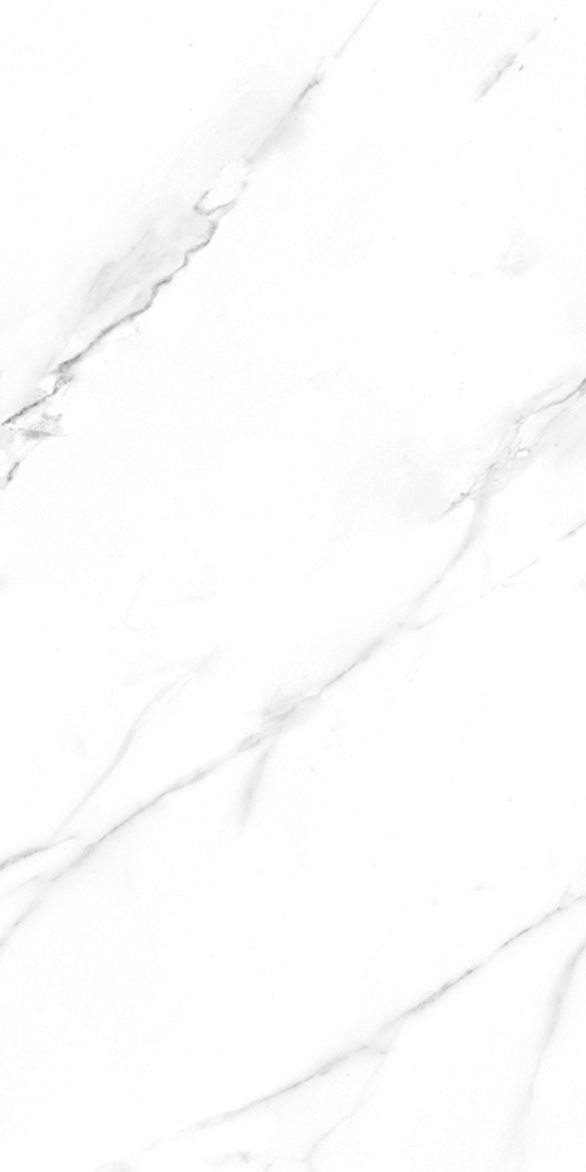 AARSIBI WHITE F3.png