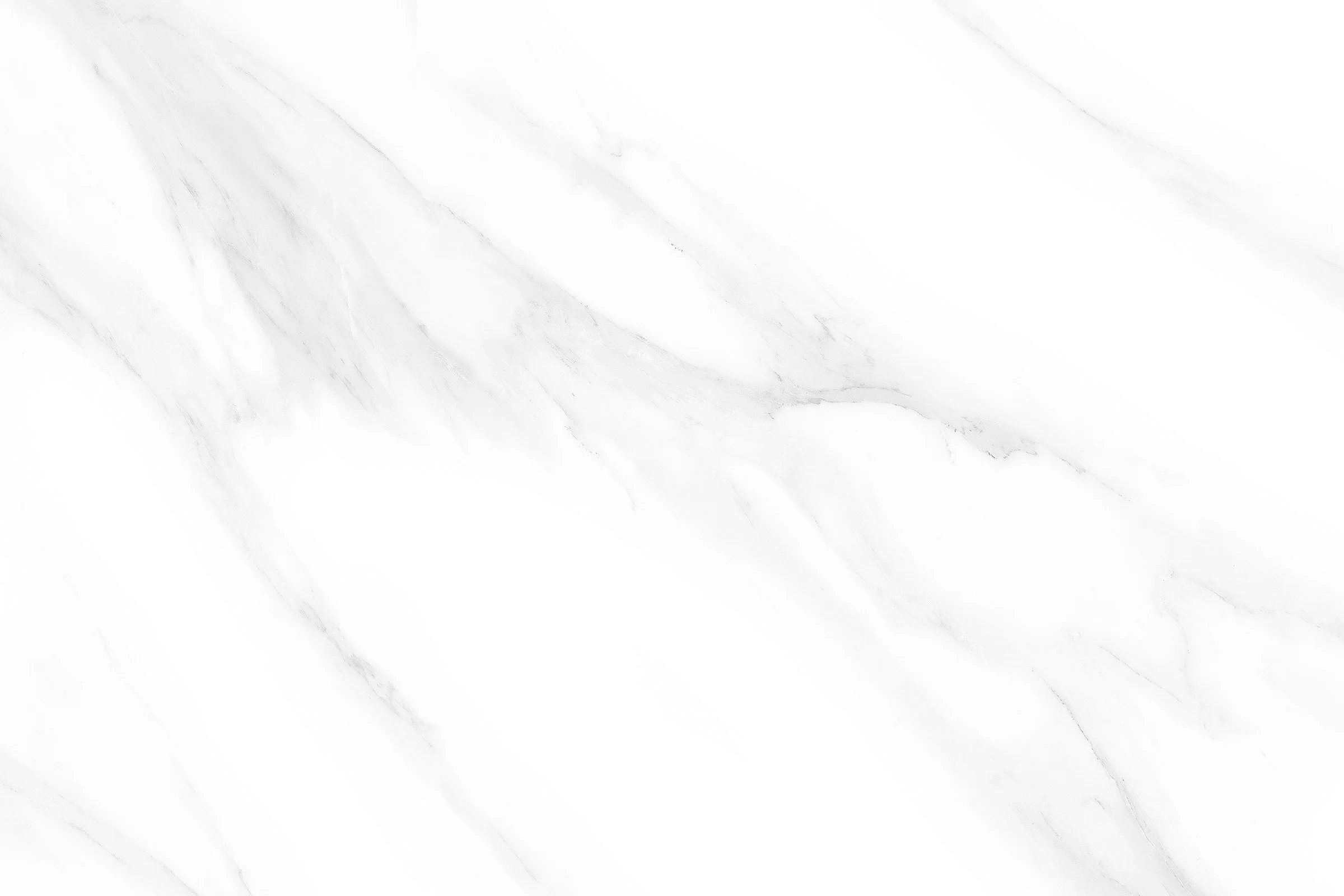 695_L3.jpg