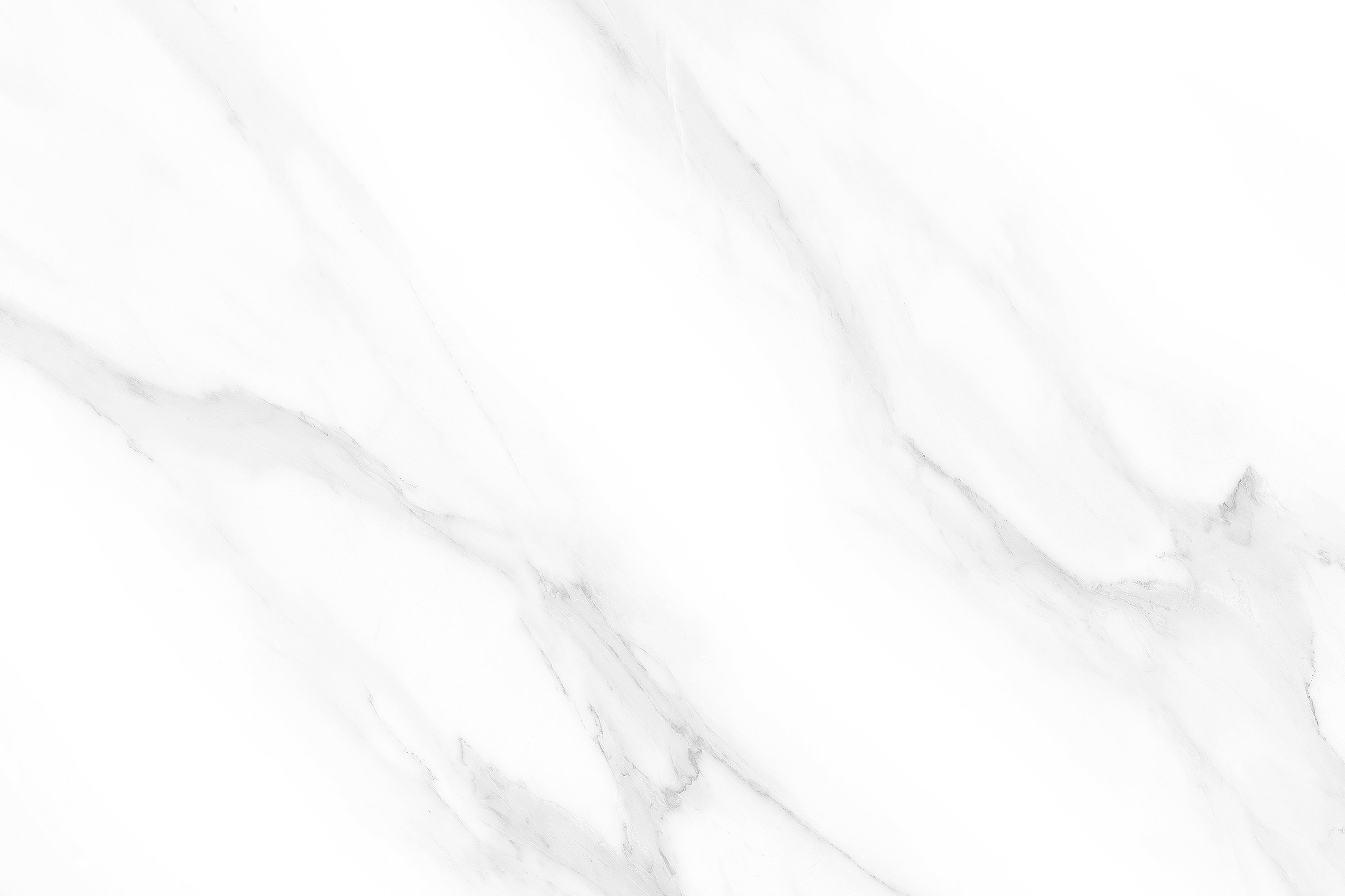 695_L1.jpg