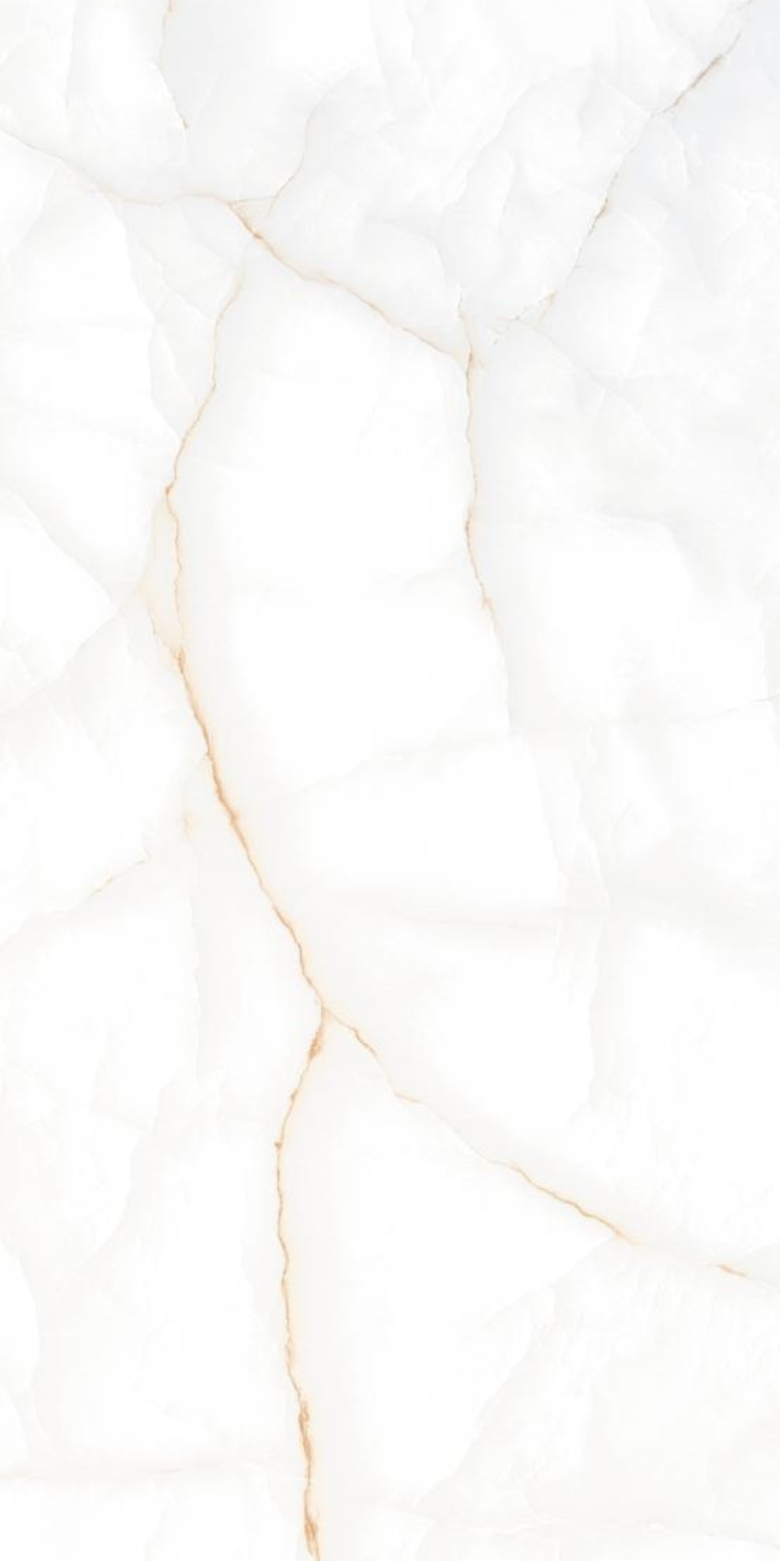 KINDER BEIGE F2.png
