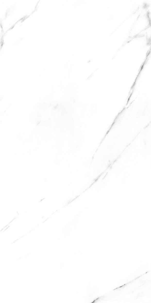 AARSIBI WHITE F2.png