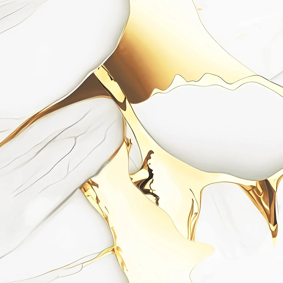 PASSO WHITE F1.jpg
