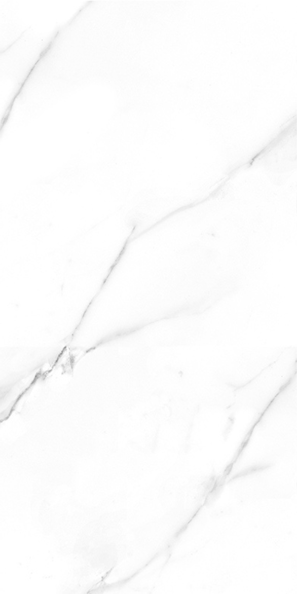 AARSIBI WHITE F5.png