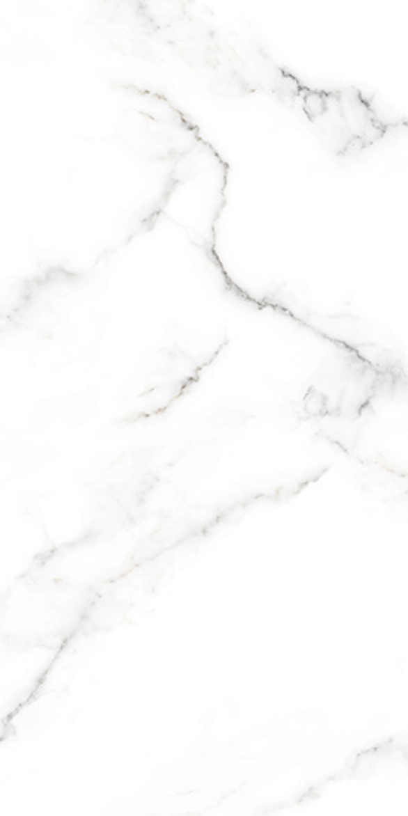AEBISI WHITE F3.png