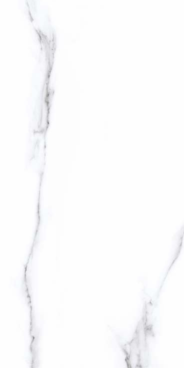 SATVARIO PEARL F4.png