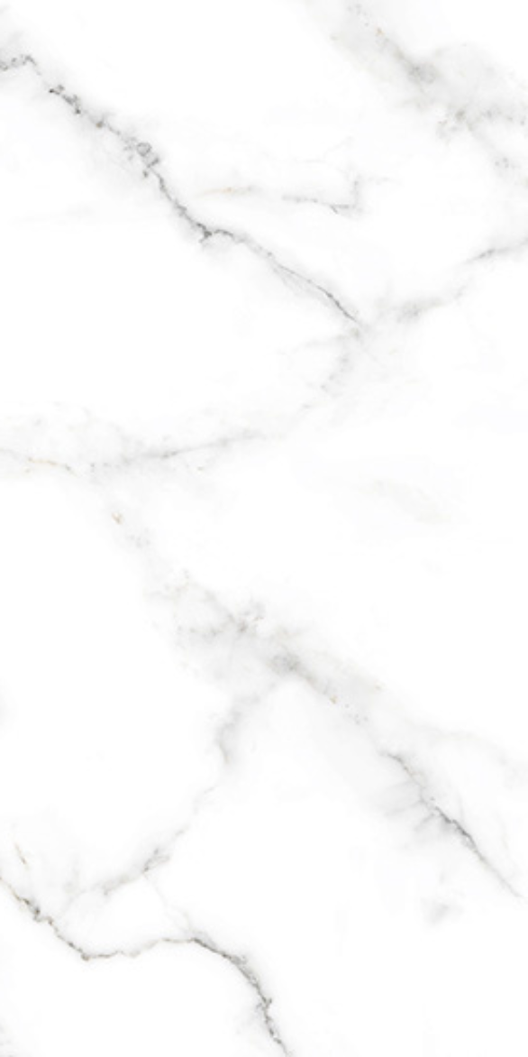 AEBISI WHITE F4.png