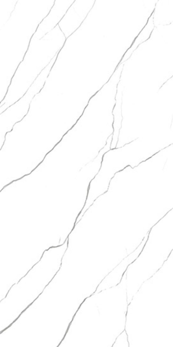 2006 F3.png