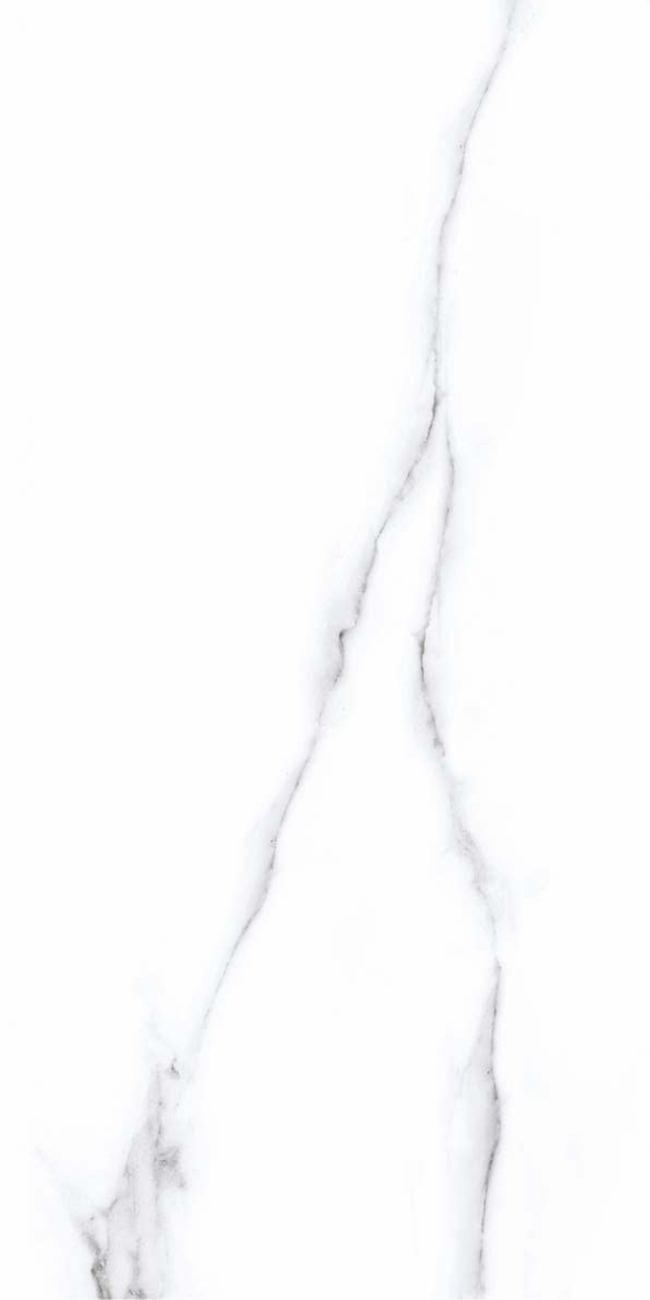 SATVARIO PEARL F1.png