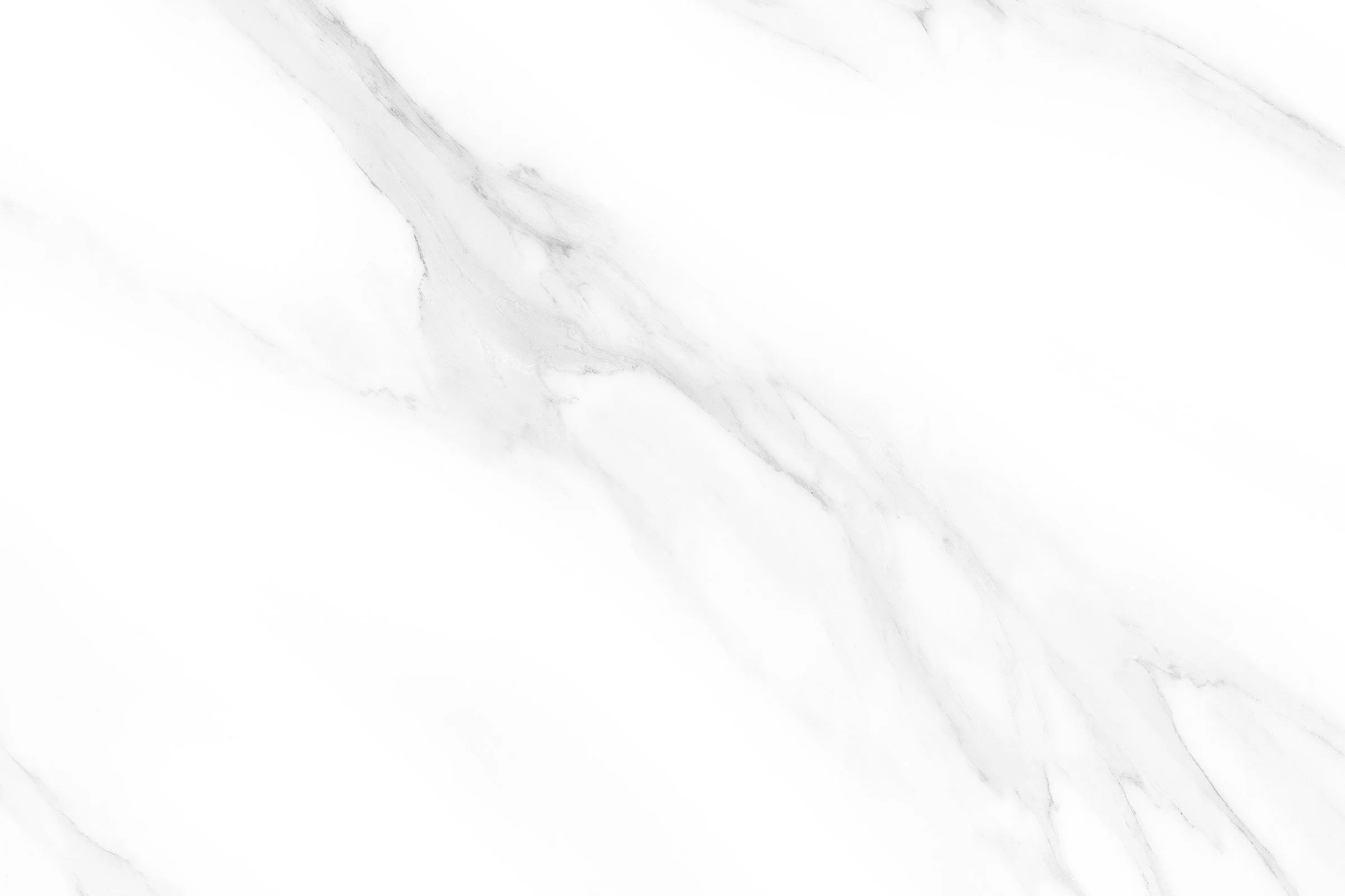 695_L4.jpg