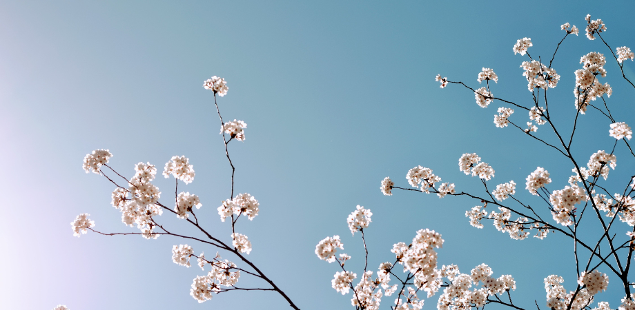 人間関係を良くする瞑想