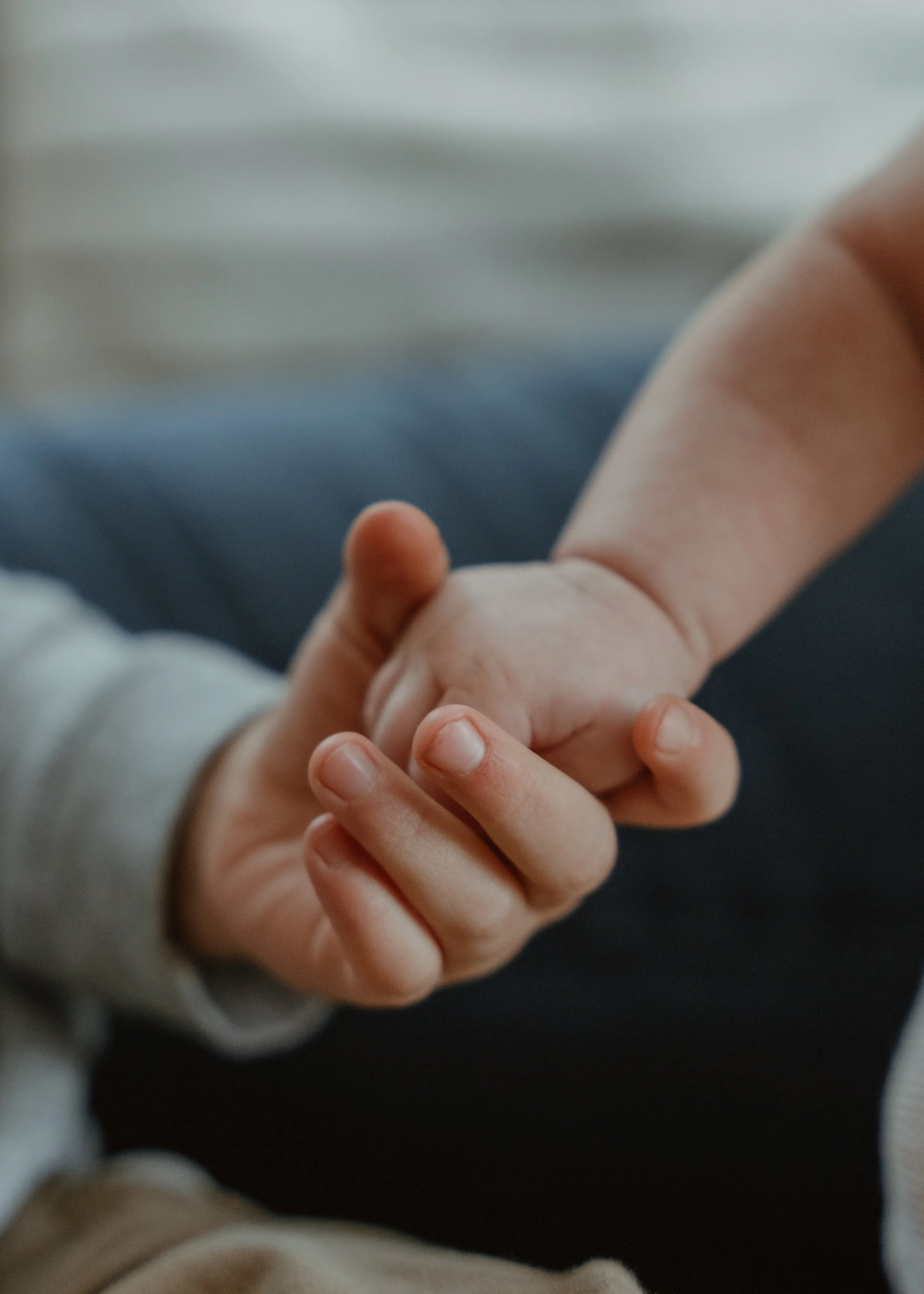 Newborn Photography3.jpg