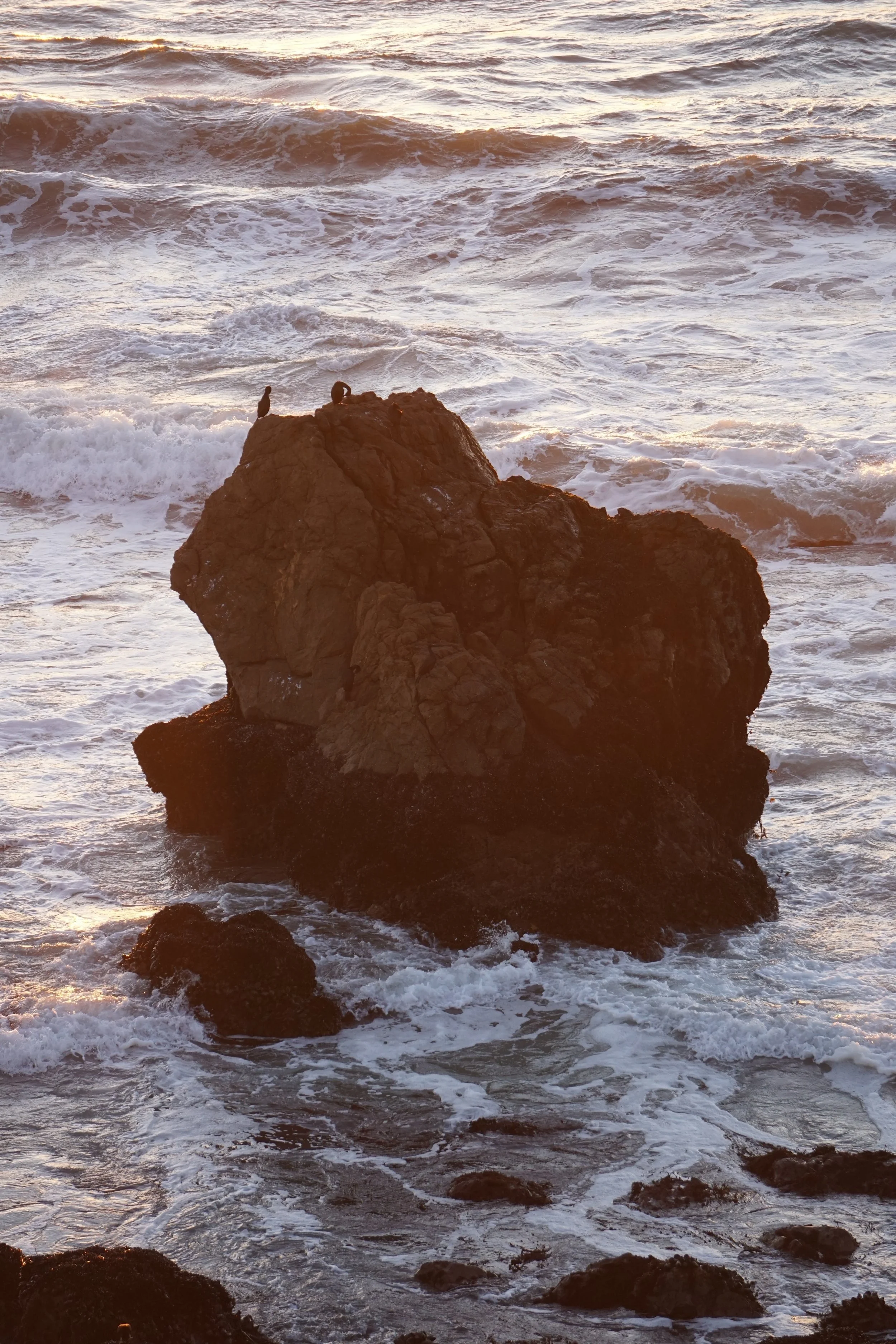 imgi_12_DSC04598.jpg