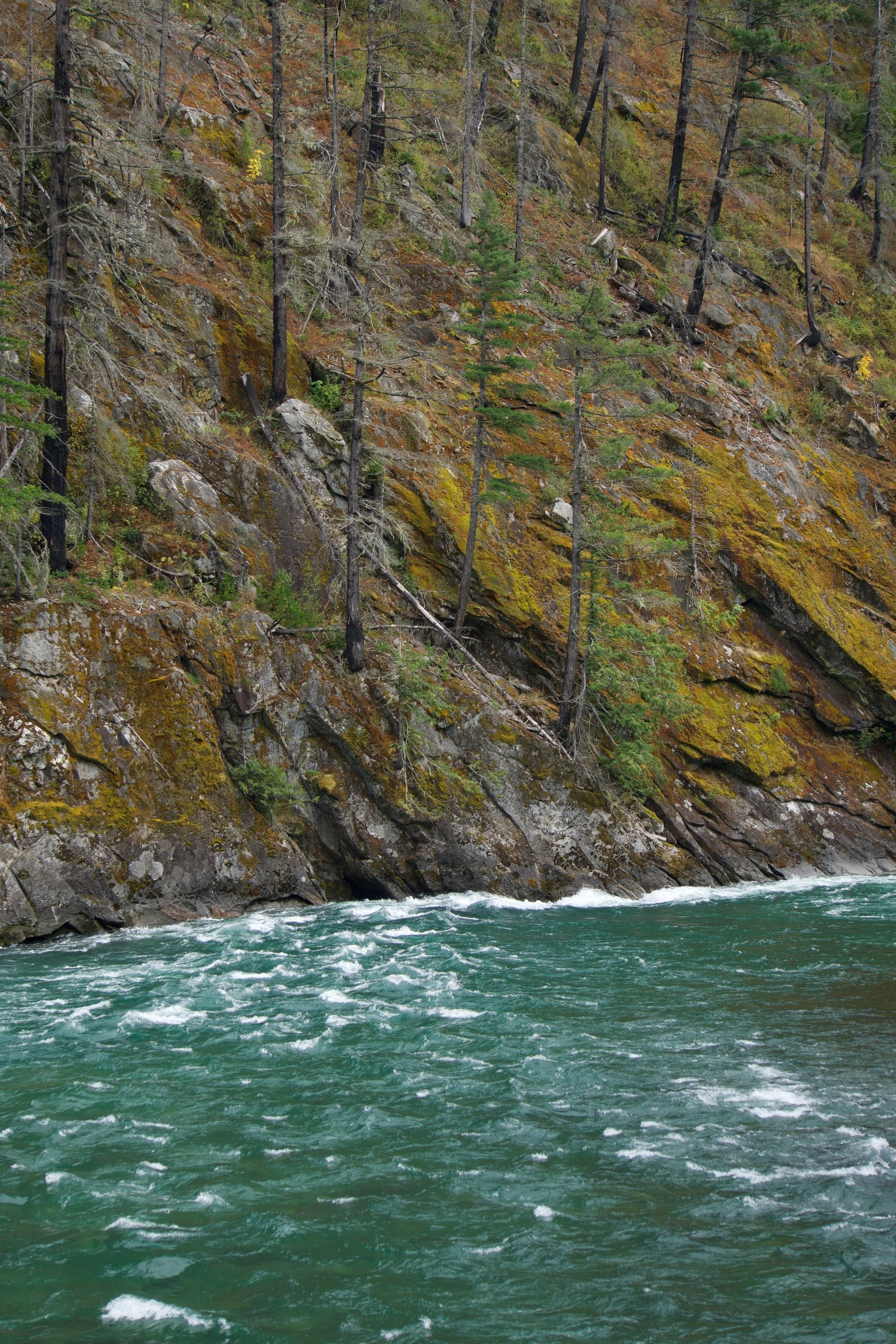 imgi_95_DSC01094.jpg