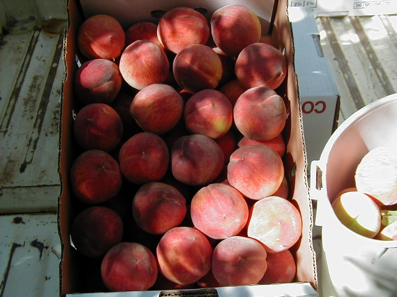 A box filled with peaches.