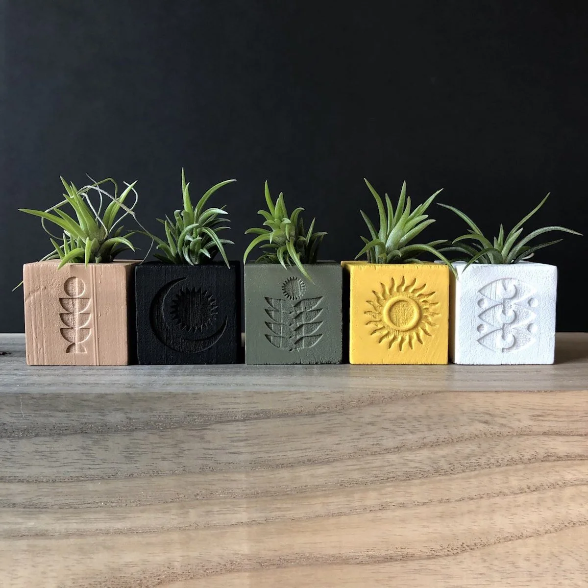 Five small square planters with engraved symbols, each holding a green succulent, arranged in a row against a dark wall, placed on a wooden surface.